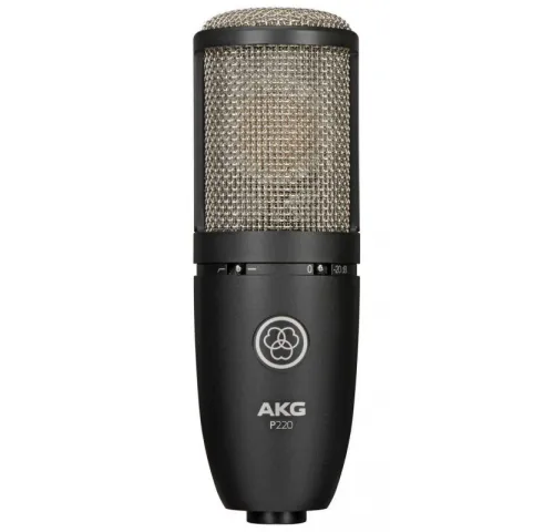 AKG P220 (3101H00420)