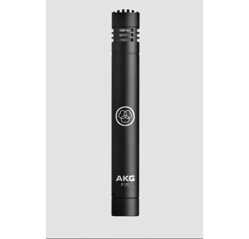 AKG P170 (3101H00410)