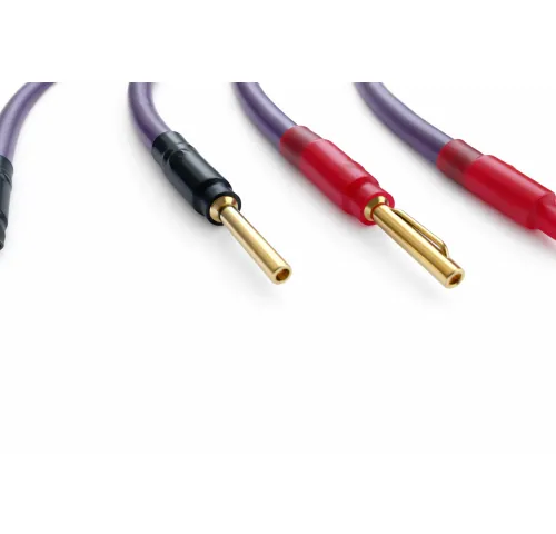 Melodika Purple MDSC1501WB Jumper cable for speakers