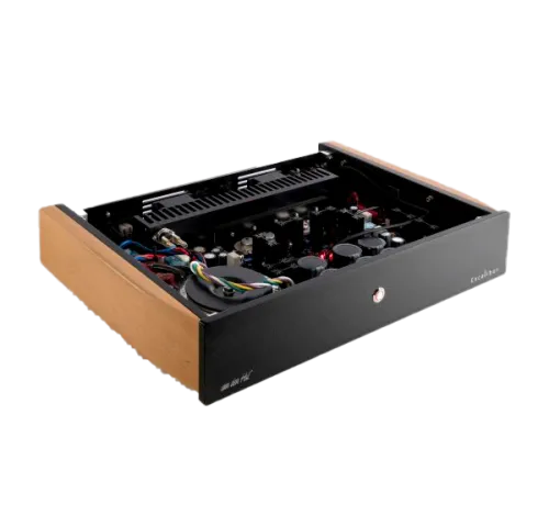 Van Den Hul The Excalibur mono power-amplifier